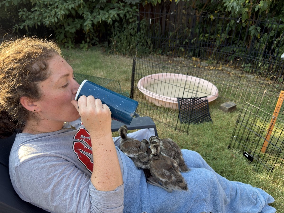 Haylee sitting outside with the four young Black-bellied
Whistling-Ducks gathered on her lap.