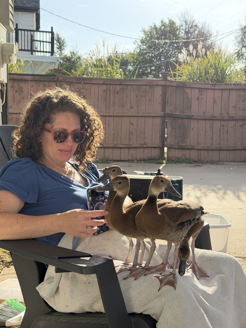 Haylee sitting outdoors with four larger Black-bellied Whistling-Ducks
crowded around her lap.
