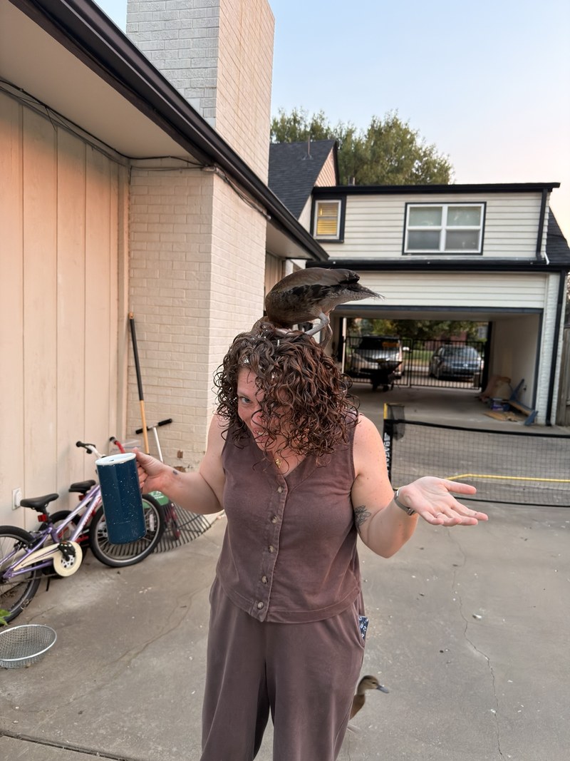 A Black-bellied Whistling-Duck perched on top of Haylee's head while
another stands nearby.