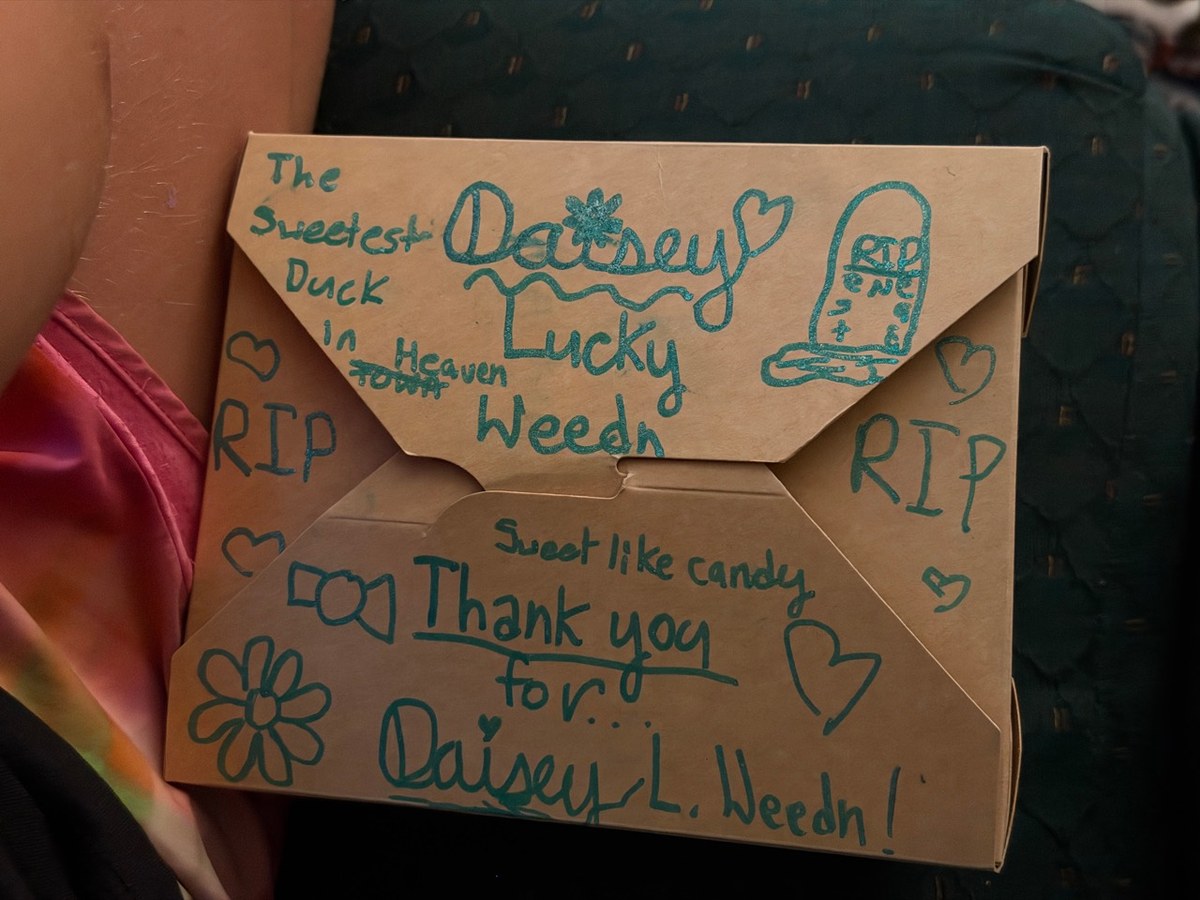 The homemade cardboard coffin Hazel decorated for Daisey “Lucky” Weedn,
with handwritten messages, hearts, and flowers.