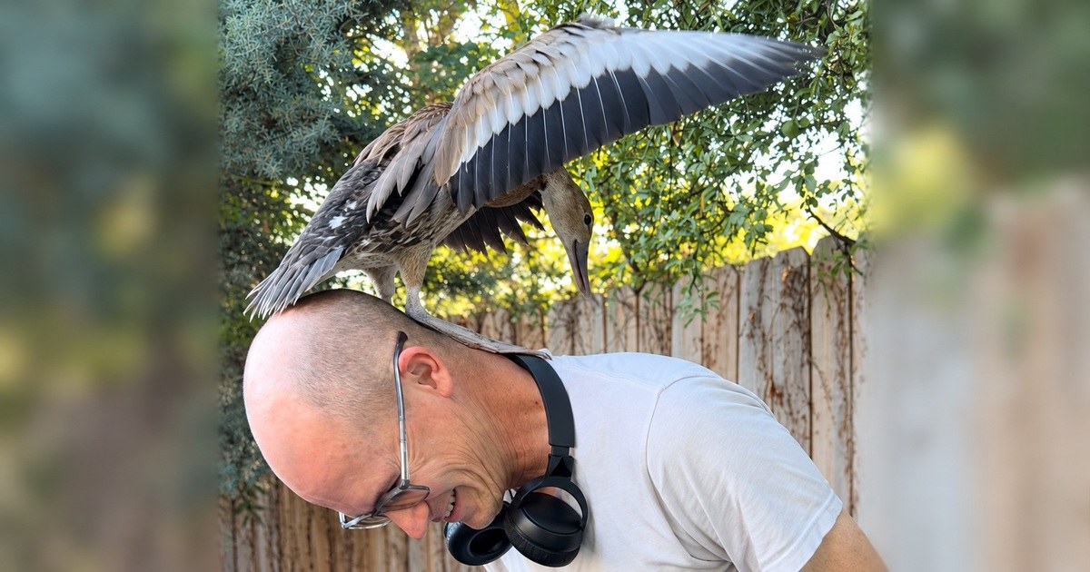 Tony laughing with a Black-bellied Whistling-Duck landing on his head.