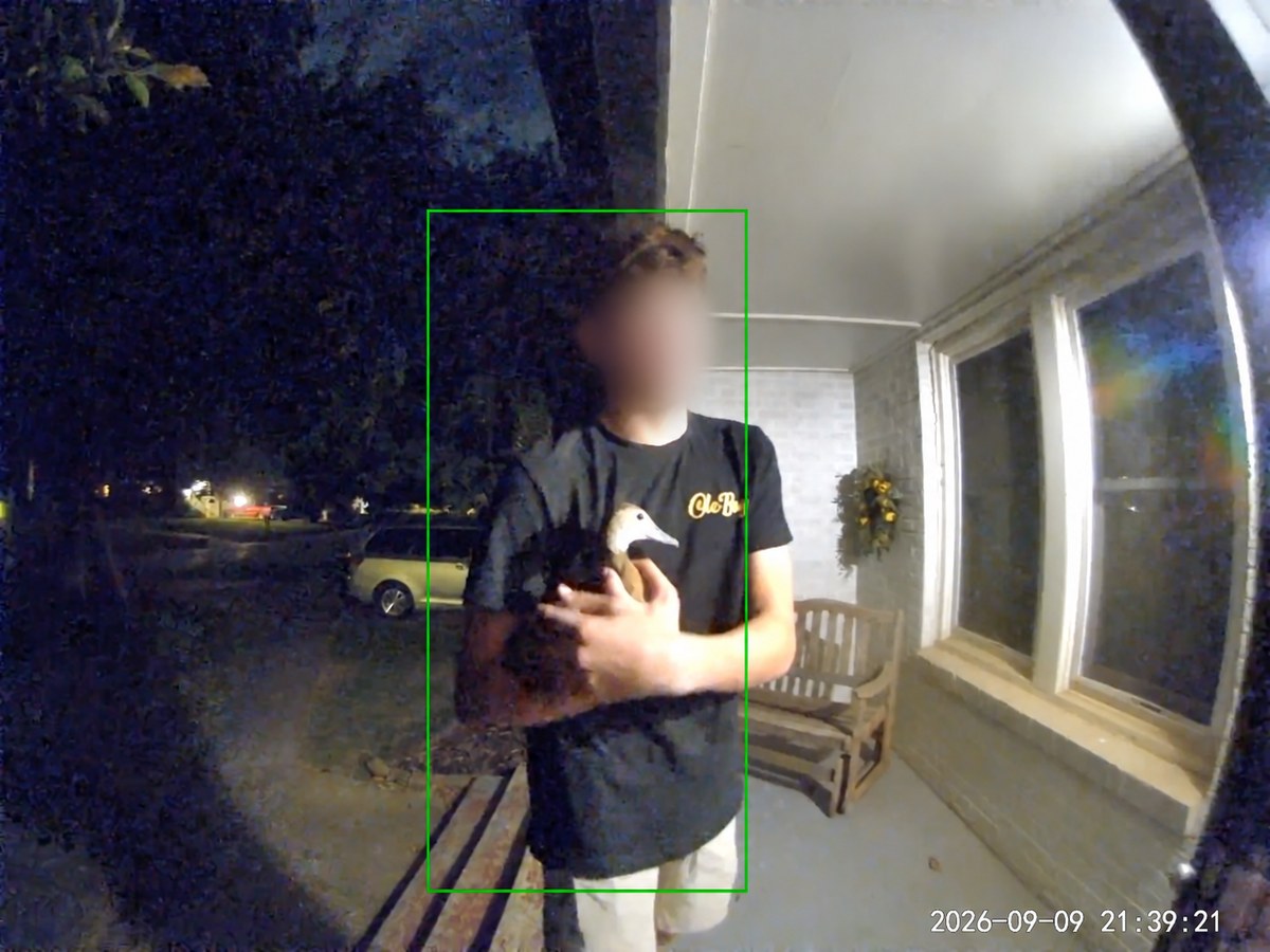 A neighbor holding one of our Black-bellied Whistling-Ducks on the front
porch, with his face blurred.